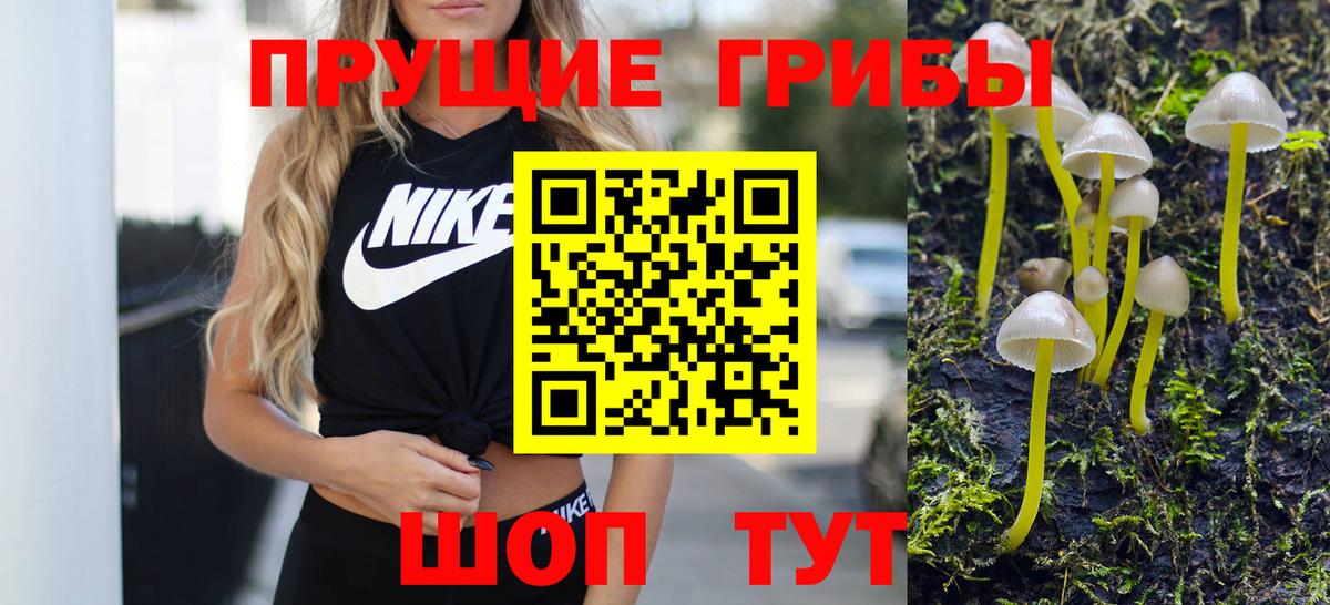 Галлюциногенные грибы мухоморы  Вход с VPN  Лесной 