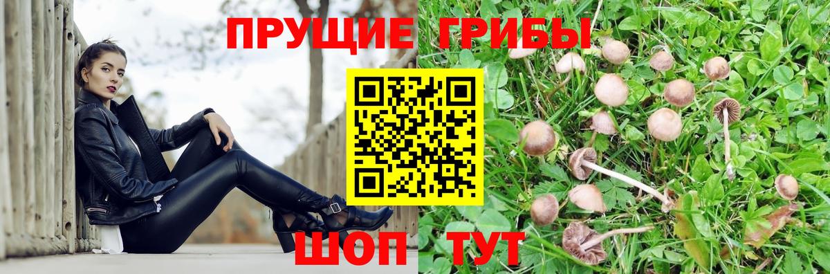 Галлюциногенные грибы ЛСД Лесной